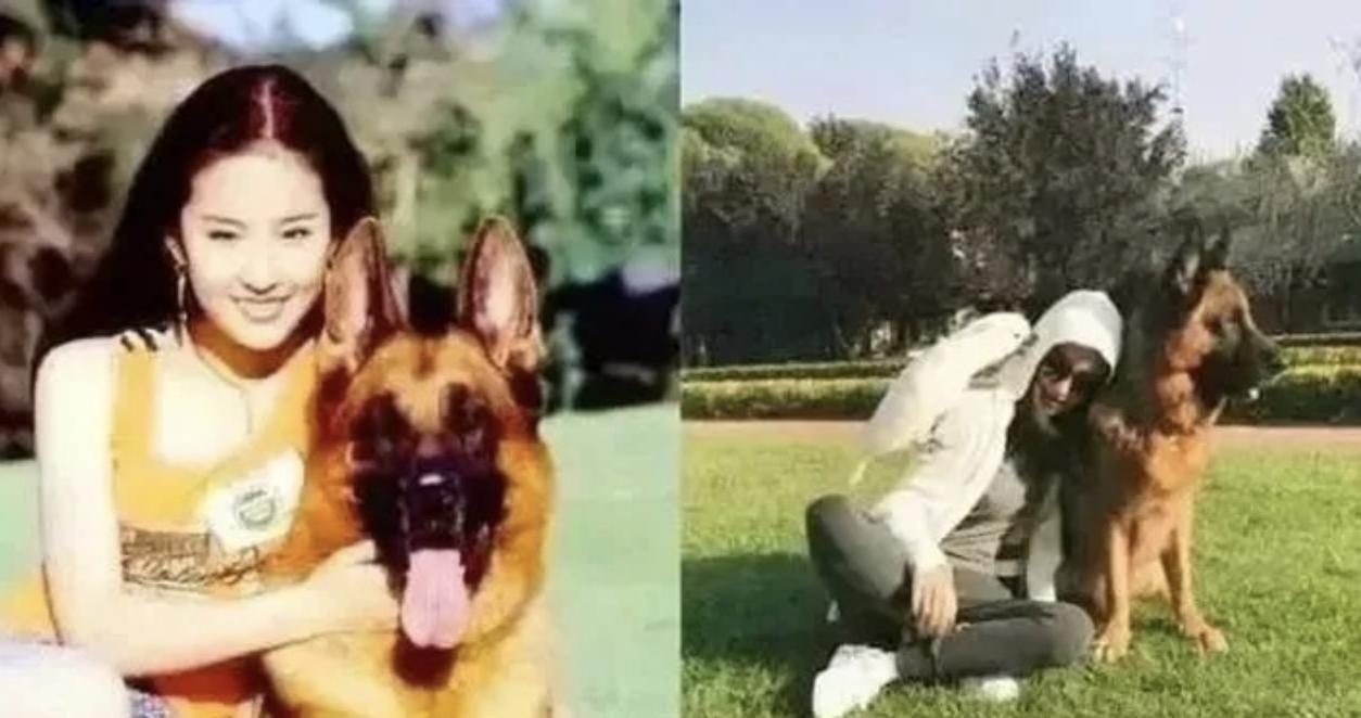 洛丽塔情结产生的原因_洛丽塔情结_洛丽塔爱情