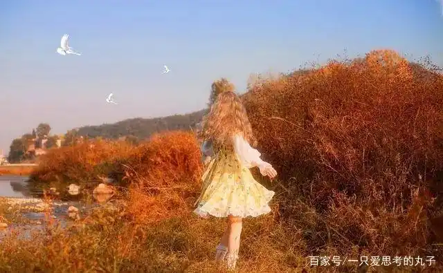 洛丽塔情结什么意思_洛丽塔情结_洛丽塔感情